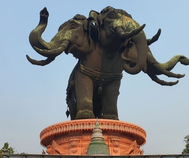 activity_detail_image