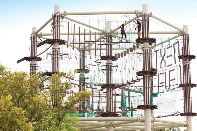 Maroochydore Next Level Park Treetop Adventure Experience