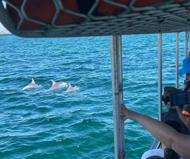 activity_detail_image