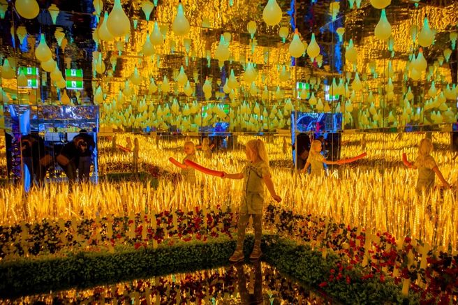 Melbourne Metartworld Interactive Exhibition Ticket