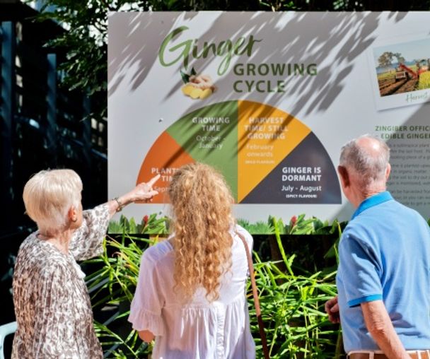 activity_detail_image