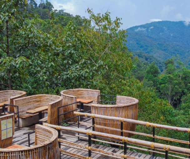 activity_detail_image