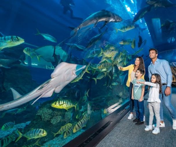 activity_detail_image