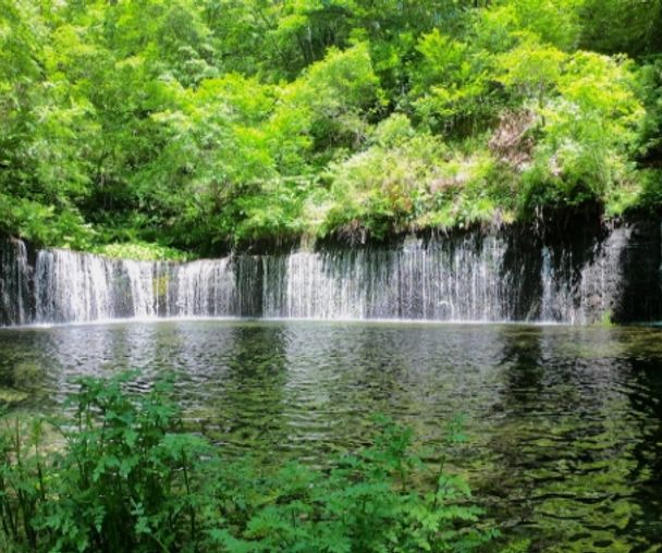 activity_detail_image