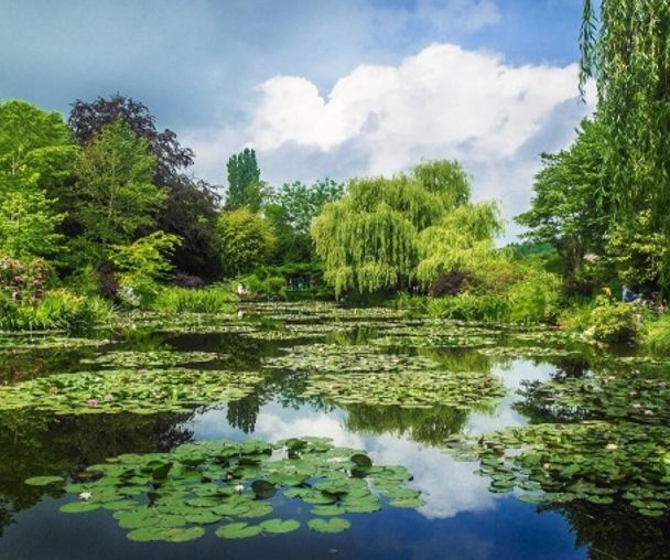 activity_detail_image