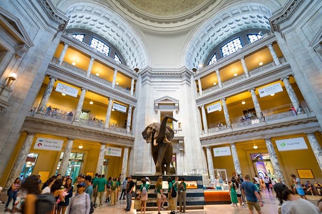 ワシントンDC スミソニアン アメリカ歴史博物館 & 国立自然史博物館 プライベートツアー