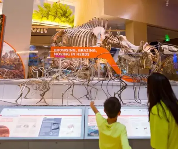 activity_detail_image