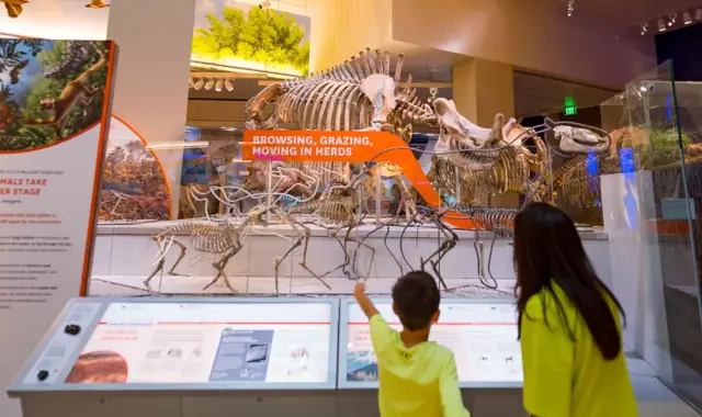 ワシントンDC・スミソニアンアメリカ歴史&自然史プライベートツアー