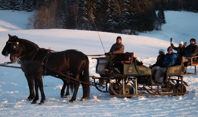 람사우 마차 썰매 투어 (잘츠부르크 출발)