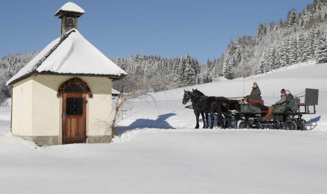 람사우 마차 썰매 투어 (잘츠부르크 출발)