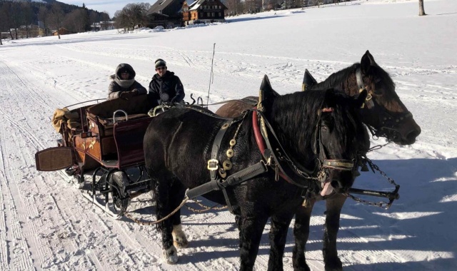 람사우 마차 썰매 투어 (잘츠부르크 출발)