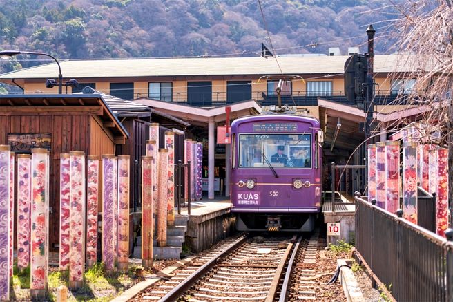 Kyoto & Nara Day Tour (Arashiyama / Fushimi Inari / Nara Deer Park) - WAUG Exclusive