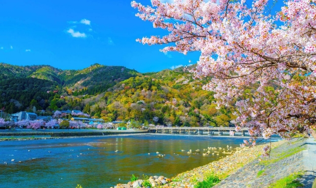 [Promotion] Kyoto & Nara Day Tour (Nara Deer Park, Fushimi Inari Shrine, Arashiyama)