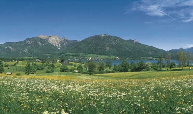 잘츠부르크 '더 오리지널 사운드 오브 뮤직®' 투어 + 에델바이스 쿠킹 클래스