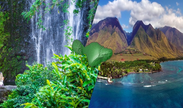 하와이 마우이섬 로드 투 하나 어드벤처 투어 (WAUG Exclusive)