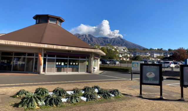 Kagoshima Sakurajima Half-Day Tour (Tsukuyomi Shrine, Nagisa Park, Yunohira Observatory)