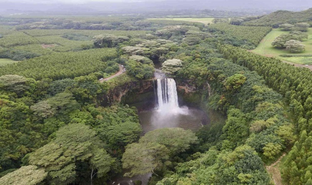 하와이 카우아이 와이메아 캐년 & 폭포 어드벤처 투어 (WAUG Exclusive)