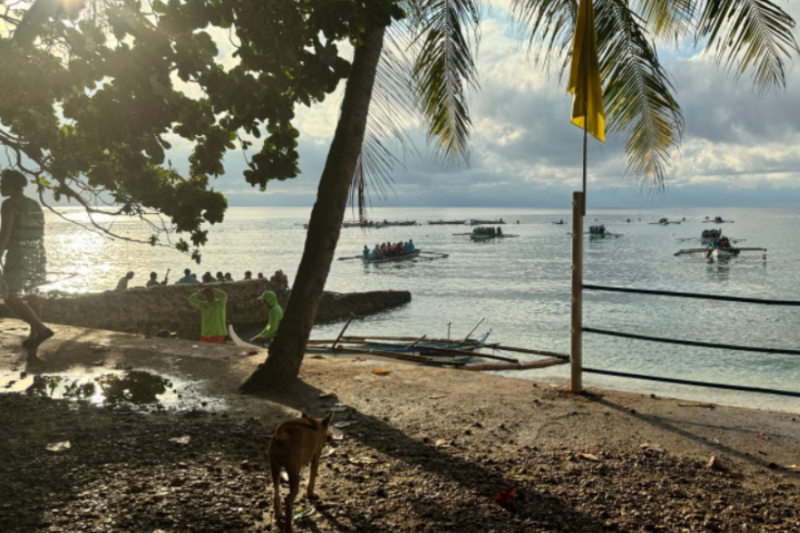 [투어스타] 세부 오슬롭 & 모알보알 단독 투어