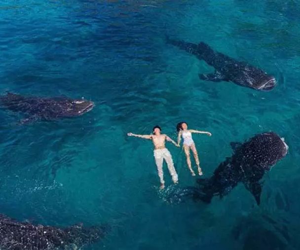 activity_detail_image