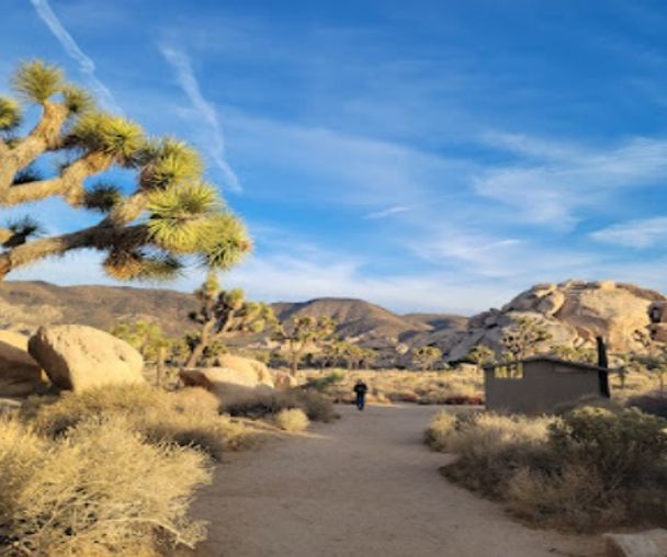 activity_detail_image