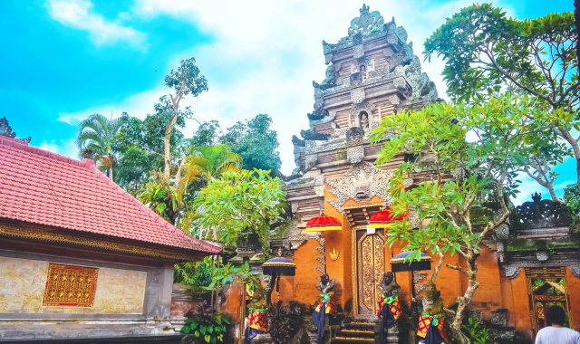 발리 우붓 투어