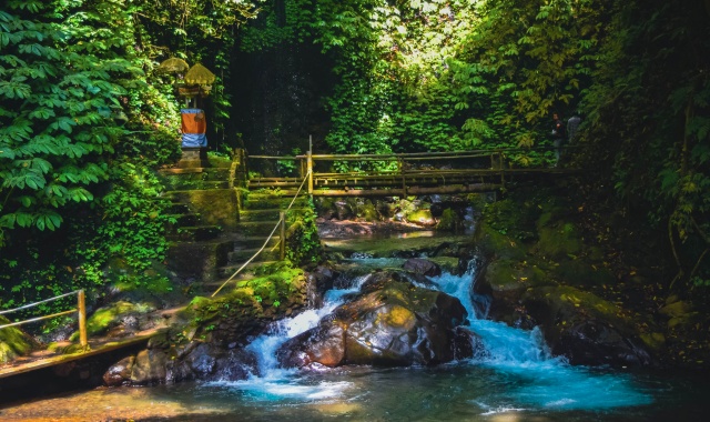 발리 브두굴 & 싱아라자 투어