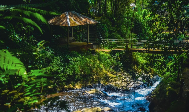 발리 브두굴 & 싱아라자 투어