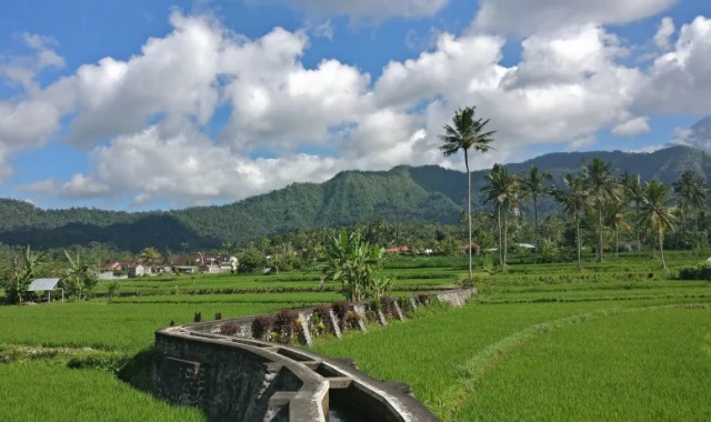 발리 카랑아셈 왕가 유적 투어