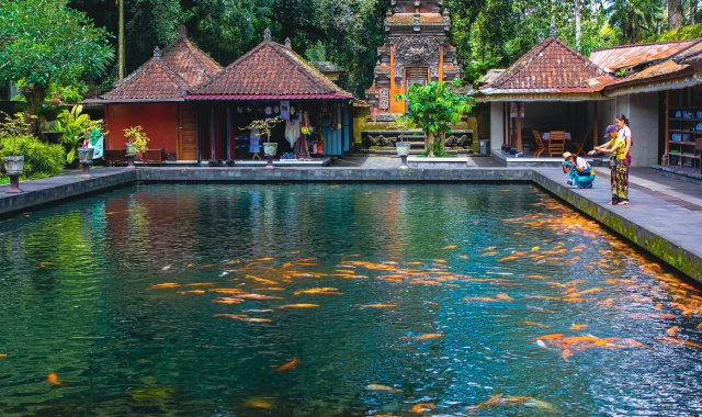 발리 킨타마니 호수 & 화산 투어