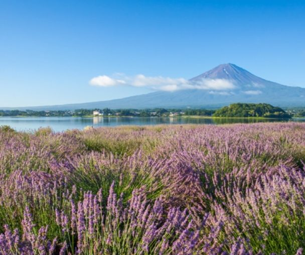 activity_detail_image