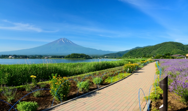 Tokyo - Mt. Fuji Day Tour (Kawaguchiko, Lake Yamanaka, Lake Shoji)