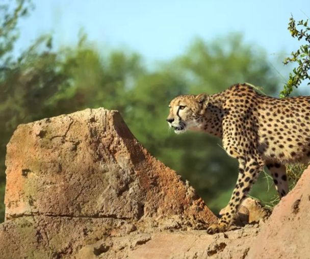 activity_detail_image