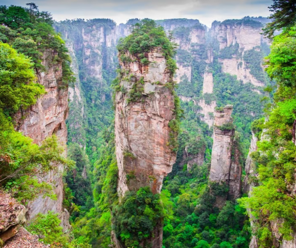 activity_detail_image