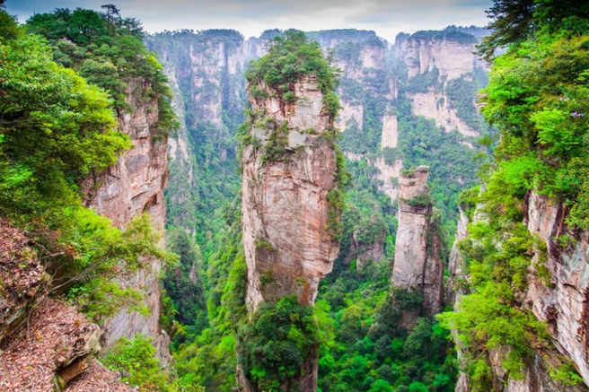 Zhangjiajie: National Forest Park Private VIP Day Tour