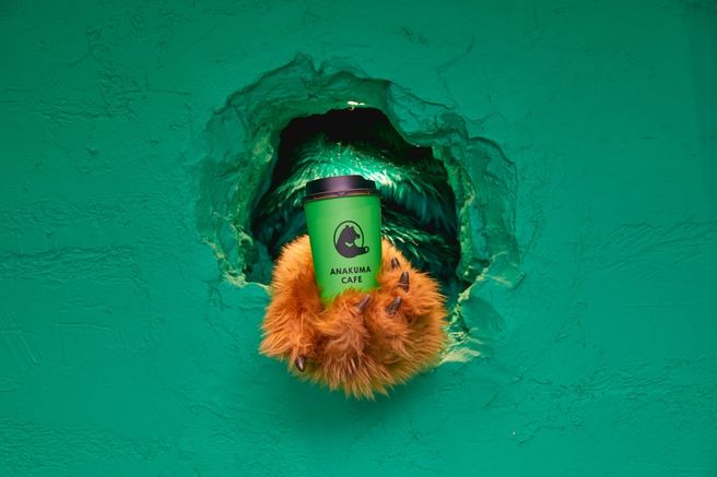 도쿄 하라주쿠 아나쿠마 카페