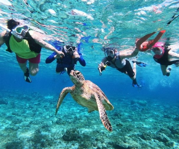 activity_detail_image