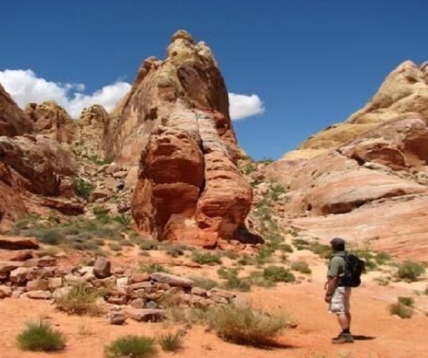 activity_detail_image