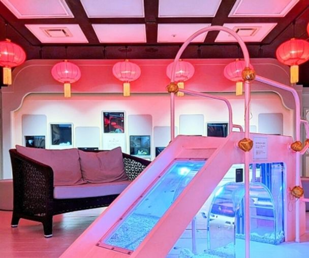 activity_detail_image