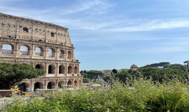 activity_detail_image