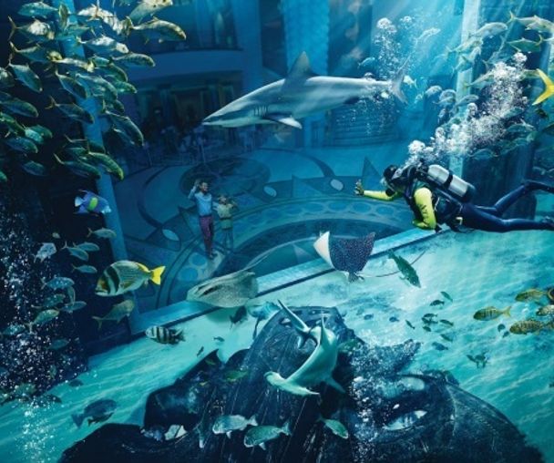 activity_detail_image