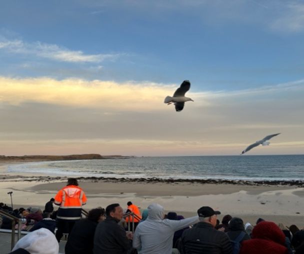 activity_detail_image