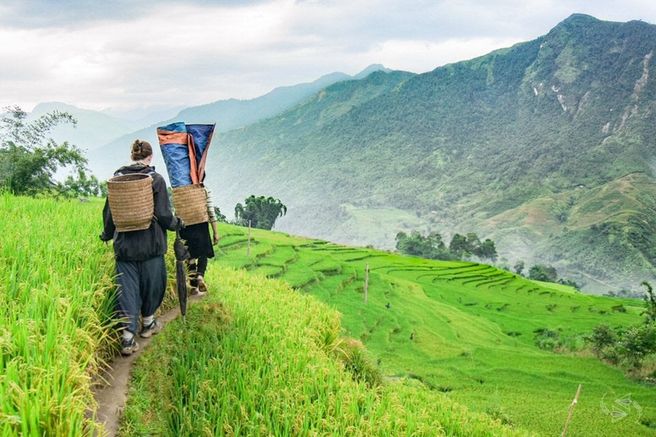 From Hanoi: Sapa 3-Day Trekking Adventure Tour with Ta Van Village Stay (WAUG Exclusive)