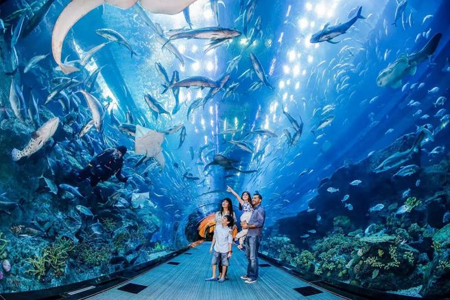 Dubai Aquarium & Underwater Zoo Ultimate Experience Ticket