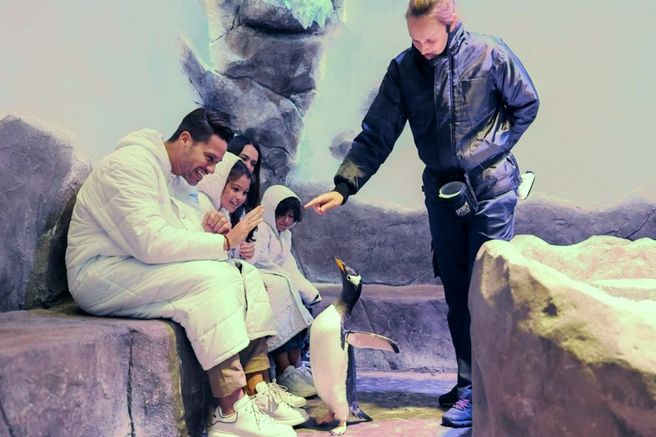 ドバイ水族館&水中動物園 入場チケット(ペンギンエンカウンター付き)