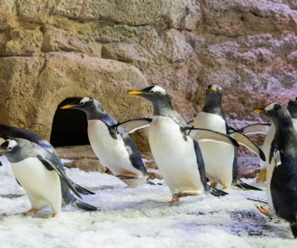 activity_detail_image