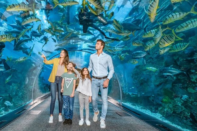 Dubai Aquarium & Underwater Zoo Ultimate Experience Ticket