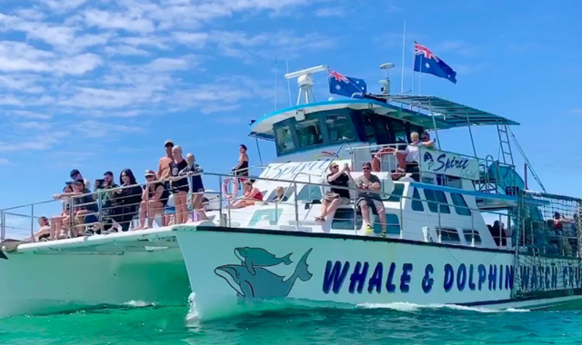 [고호주] 포트스테판 여유로운 아침 출발 돌핀크루즈 & 모래썰매 & 와이너리 투어