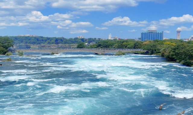 [타미스] 나이아가라 출발: 뉴욕 도착 셔틀 서비스