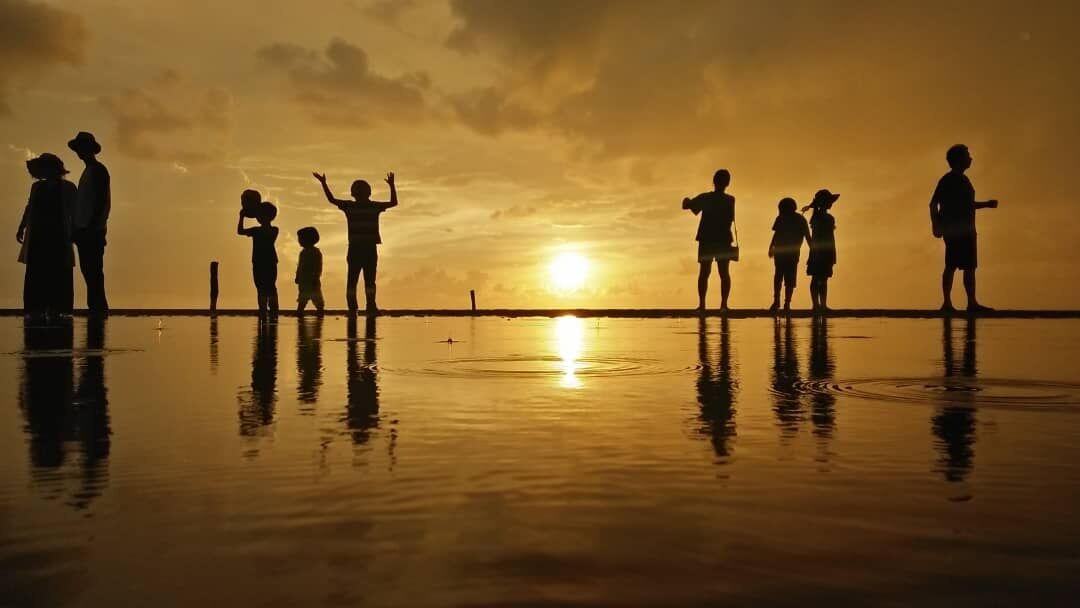 코타키나발루 봉가완 반딧불 투어 with 켈리 가이드