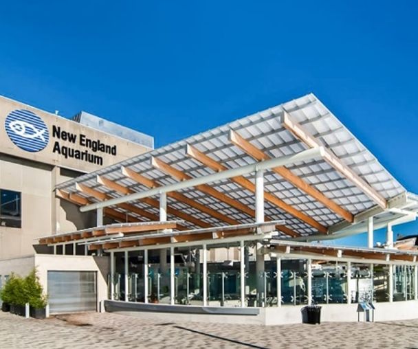 activity_detail_image